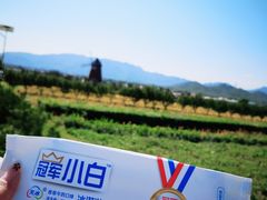 -君乐宝优致牧场