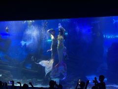 -江和美海洋公园