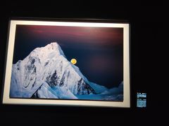 -罗红摄影艺术馆