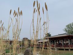 -洛阳古墓博物馆