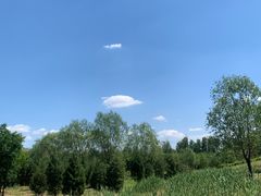 -马家湾湿地公园