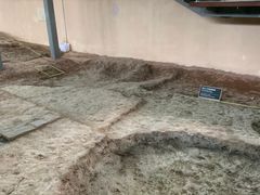 -南越王博物院(王宫展区)