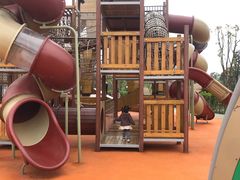 -枫香湖儿童公园