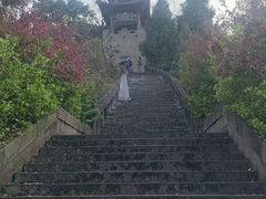 -三峡梯城
