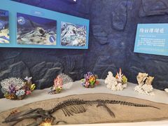 -上海中国航海博物馆