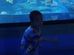 -多彩贵州城极地海洋世界