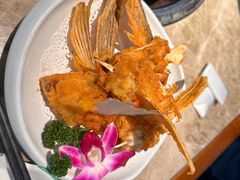 -淘米捞·米汤脆鲩鱼火锅(福田皇岗店)
