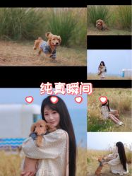 -蜜糖派儿童摄影(青建·太阳岛店)