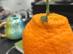 -南京大牌档(仙林金鹰店)