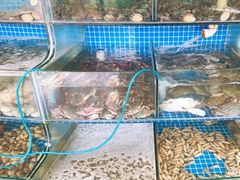 水产区-蟹谢蒸鲜自助餐厅