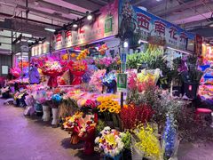 -花鸟鱼虫鲜花绿植市场(玉泉路店)