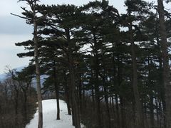 -湖州龙王山景区