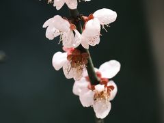 -大宁公园