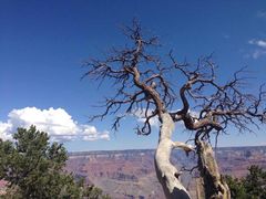 -科罗拉多大峡谷