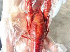 -靓靓蒸虾(恩施新天地店)