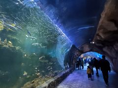 -华夏文旅海洋公园