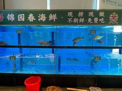 -锦园春香港茶餐厅(西海湾旗舰店)