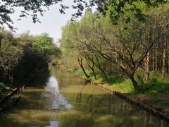-同里国家湿地公园