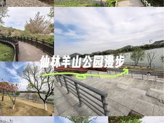 -羊山湖公园