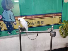 -卤儿道道(经纬店)