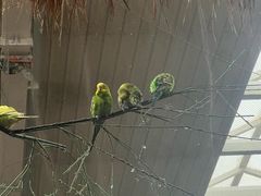 -南宫五洲植物乐园