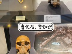 -北京周口店北京人遗址博物馆