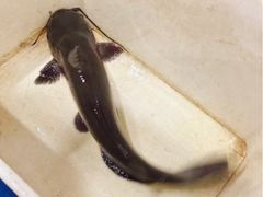 -九寨沟石锅鱼(沣峪口店)