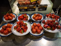 -渔娘渔家丹东海鲜(东直门店)