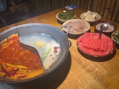 -阳阳老火锅(小南门店)