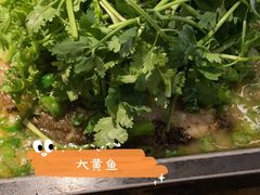 -炉鱼(萧山万象汇店)