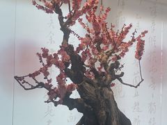 -颐和园