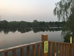 -东方苑自助餐厅(稻香湖景酒店)