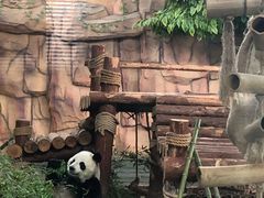 -泉州海丝野生动物世界