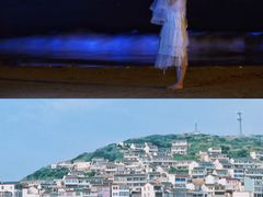 -枸杞岛