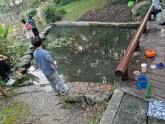 -陈家山荷花公园