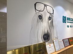 -美联众合动物医院·24h转诊中心