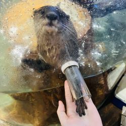 -Zoolung Zoolung动物主题公园(海信广场店)