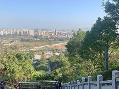 -青礁慈济宫