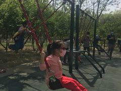 -大兴滨河森林公园