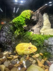 -酷嗒动物文化乐园(cutezoo西溪乐天城店)