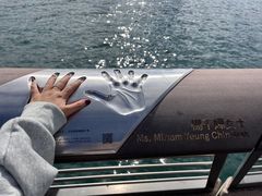 -海港城