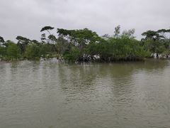 -东寨港红树林旅游区