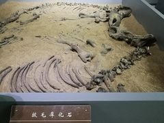 -呼伦贝尔民族博物馆