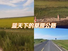 -希拉穆仁草原
