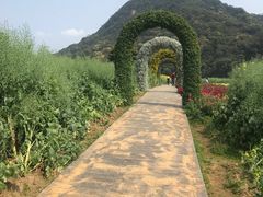 -广州市石门国家森林公园