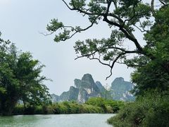 -明仕田园