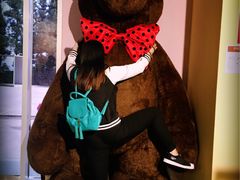 -济州岛泰迪熊博物馆