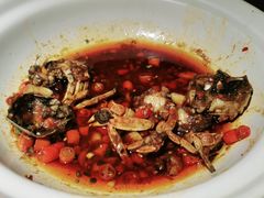 -佬麻雀·剁椒鱼头(京基KK One店)