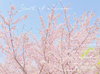 玉渊潭 北京赏花最佳｜留住春天的珊珊可爱