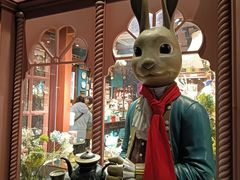 -布兰兔的植物庄园(杭州南宋御街店)